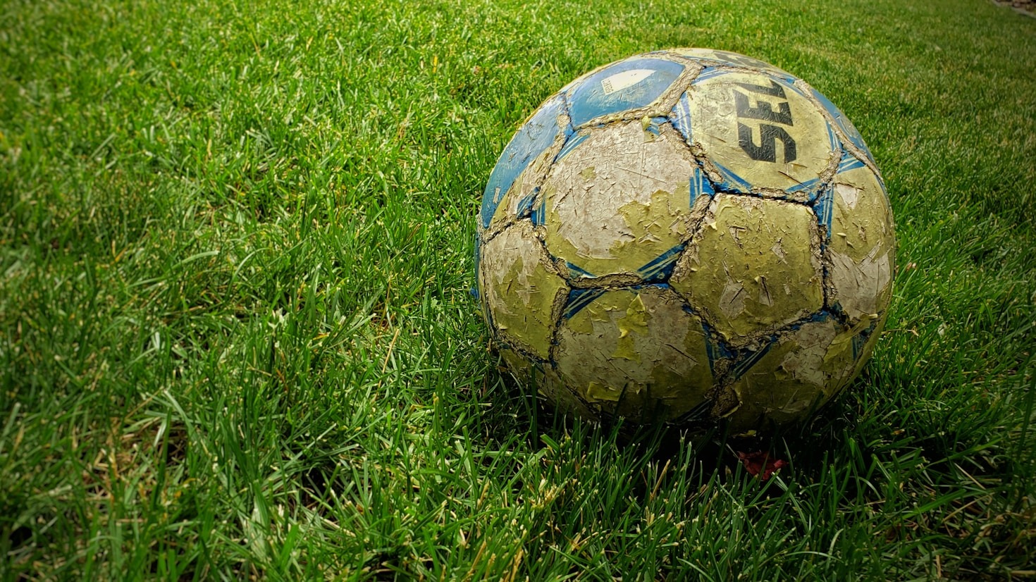 Top Moments From The Recent Season