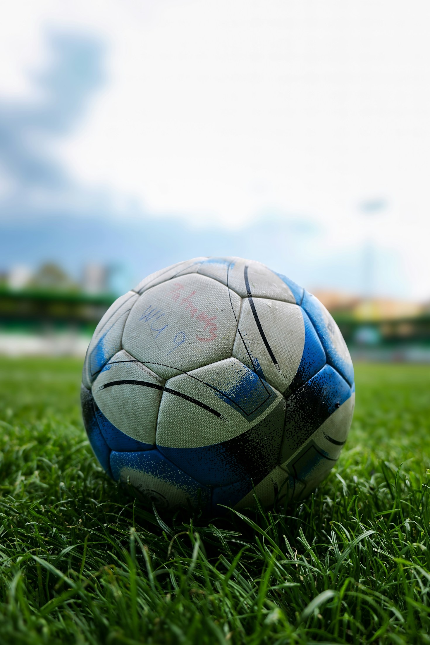 How Community Drives The Sports World